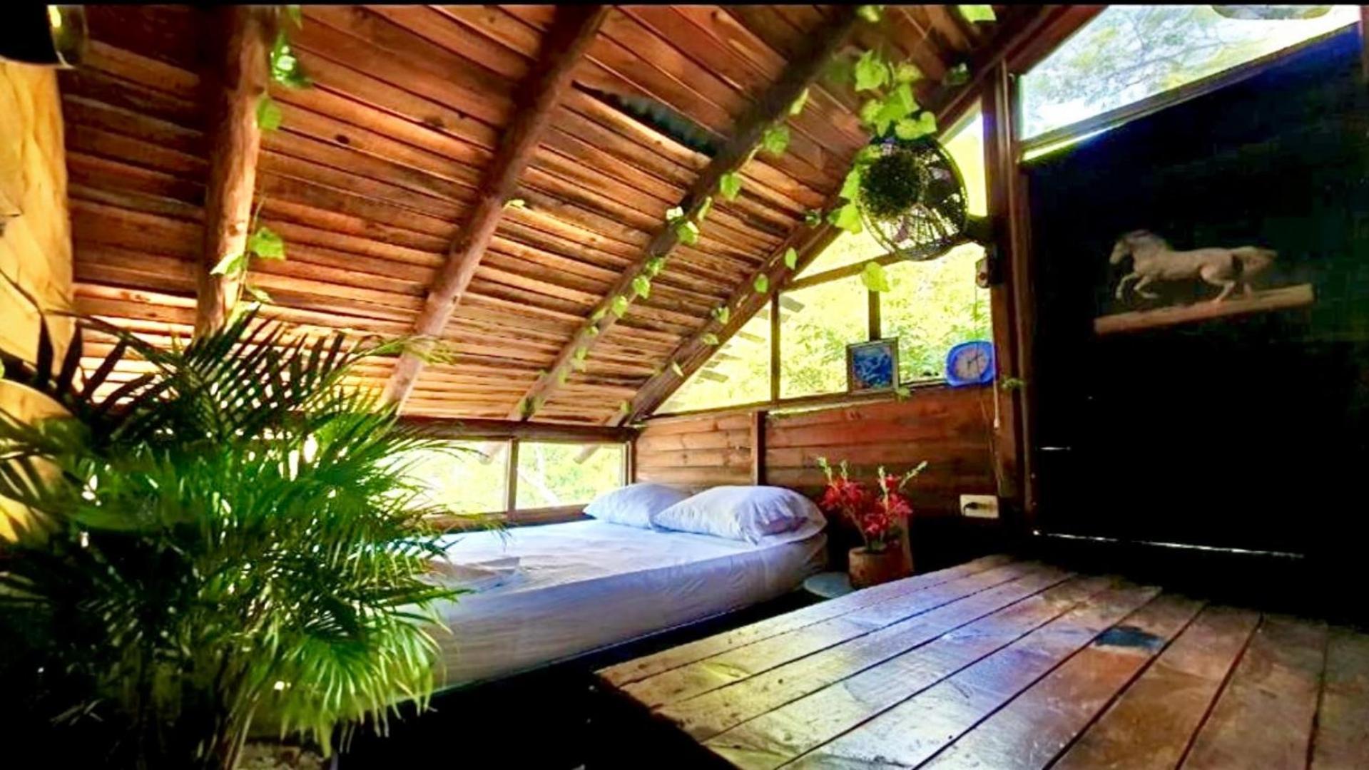 Tamarindo Beach Hostel Taganga Buitenkant foto