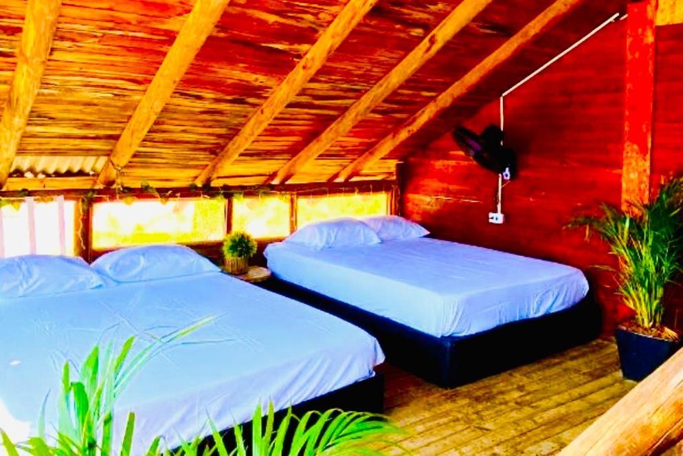 Tamarindo Beach Hostel Taganga Buitenkant foto